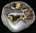 Calcite Crystal Filled Septarian Geode - Utah #33124-2